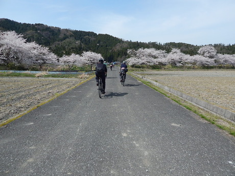 DSCN9103