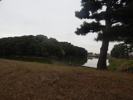 DSCN5027
