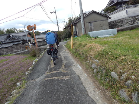 DSCN8248