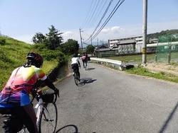 s-P6170083toei