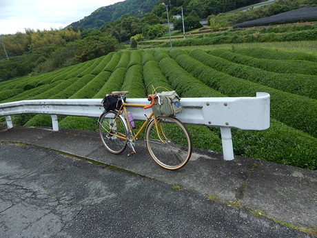 DSCN7843