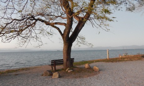DSCN6709