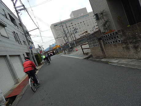 DSCN6642