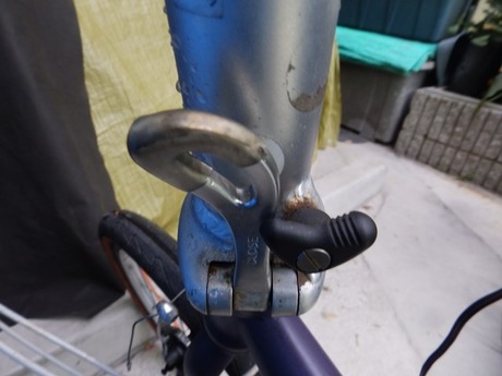s-P3170004dahon