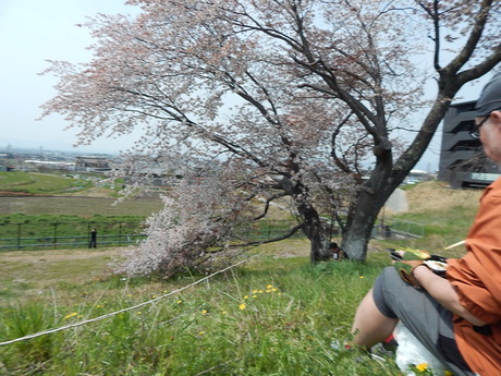 DSCN5885