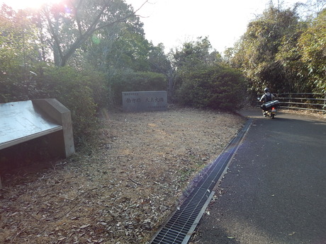 DSCN5224