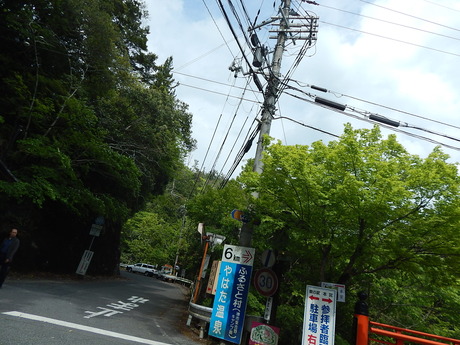 DSCN7682