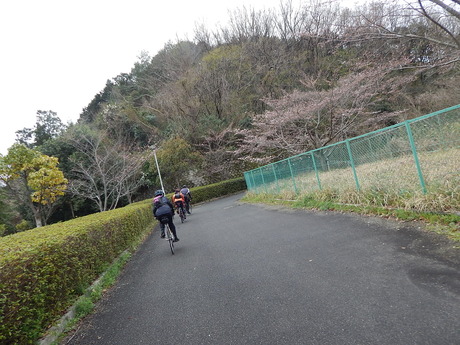 DSCN7540