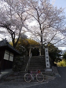 s-P4010431nara