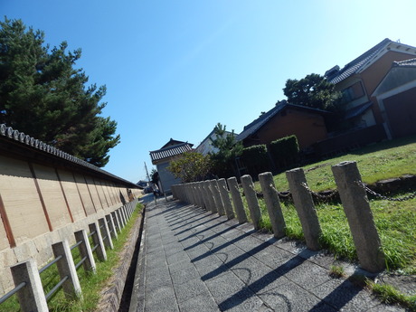DSCN5813