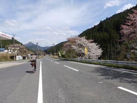 s-P4130281higashiyo
