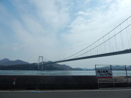 DSCN5100