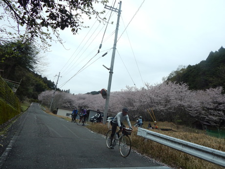 DSCN6186