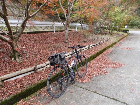 s-PB110140kushi