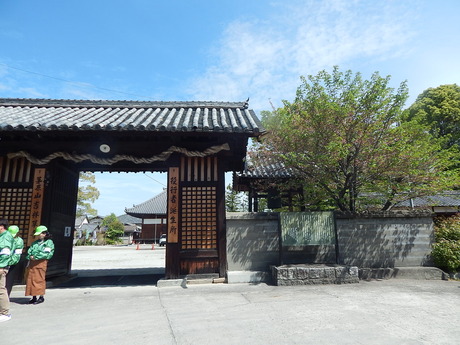 DSCN7065