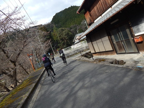 DSCN7950
