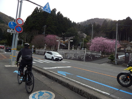 DSCN9348