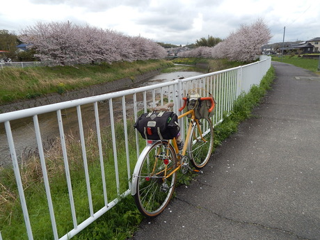 DSCN6067
