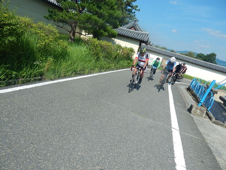DSCN8871