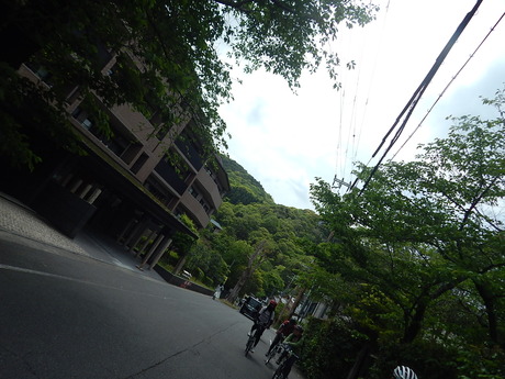 DSCN7376