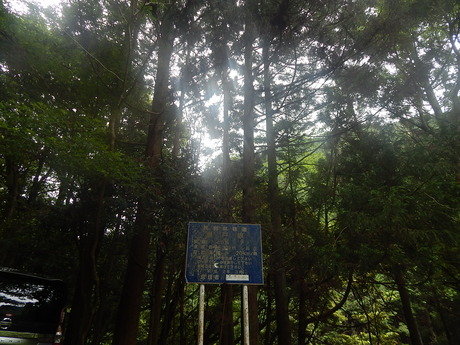 DSCN8000