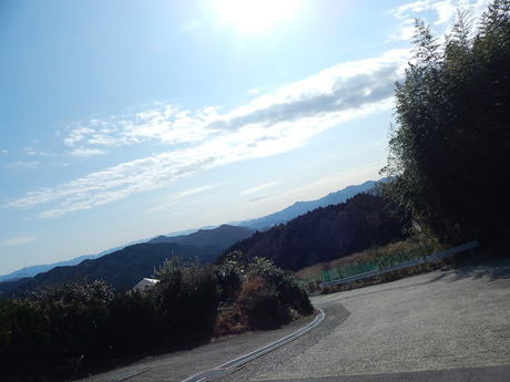 DSCN6383