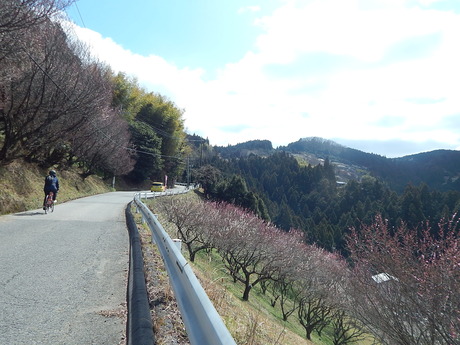 DSCN4237