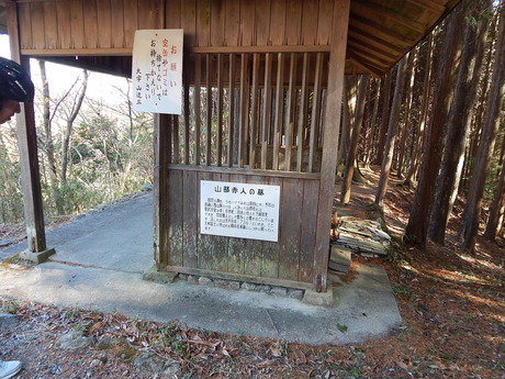 DSCN6372