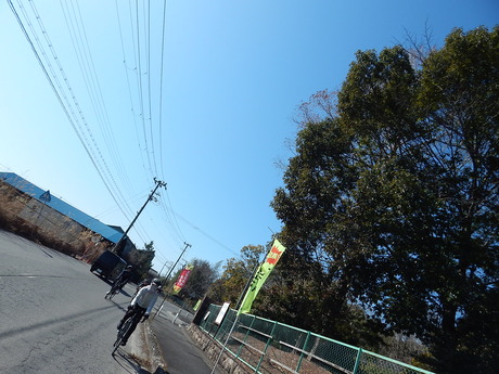 DSCN6244