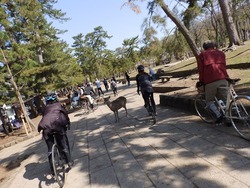 s-P4010177nara