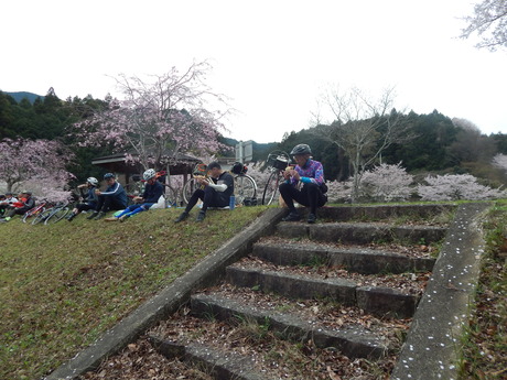 DSCN6266