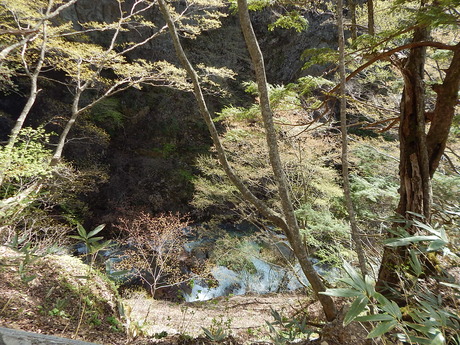 DSCN6186