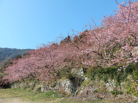 DSCN3402