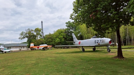 nara003