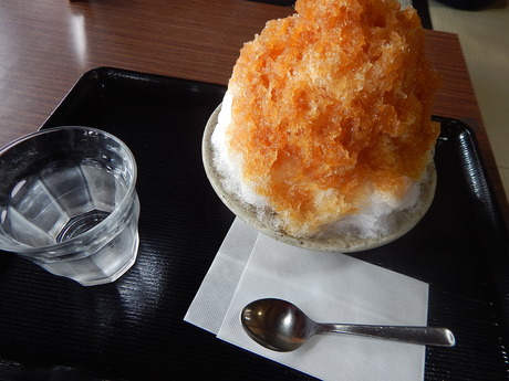 DSCN0398