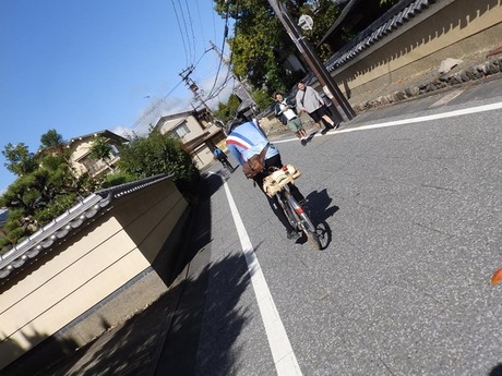 s-PA290312sagano