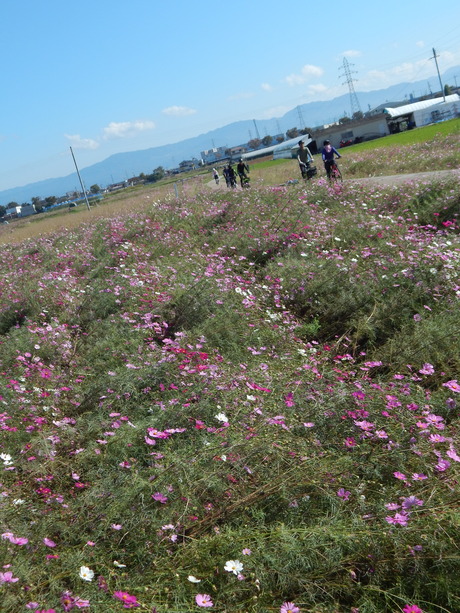 DSCN5836