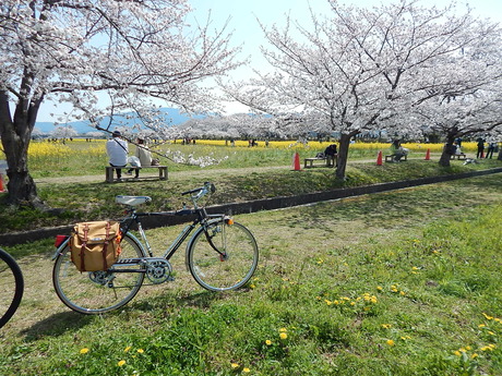 DSCN8470
