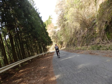 s-P4130380higashiyo
