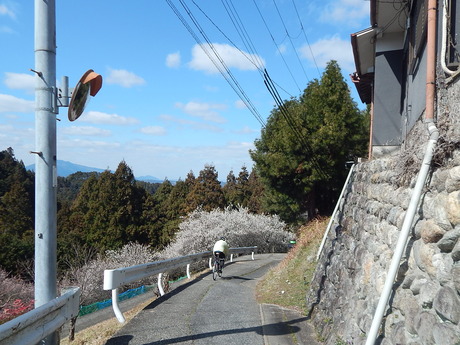 DSCN4314