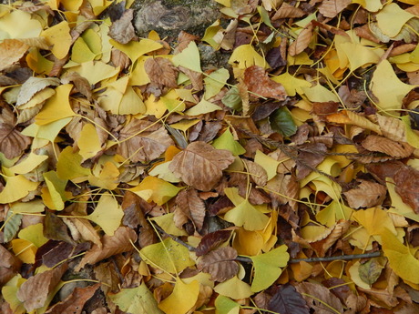 DSCN7314