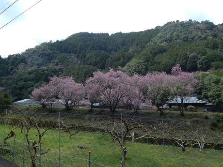DSCN7720