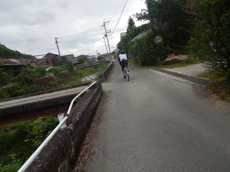 DSCN7079