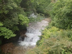s-P6100380toei