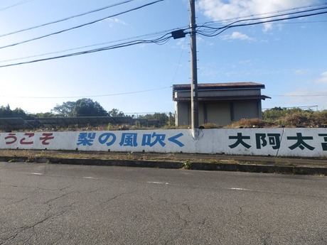 s-PA210046oosako