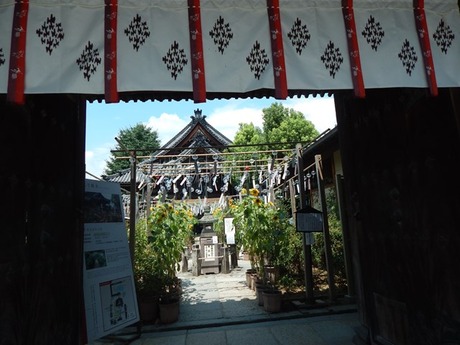 s-DSCN0028abura