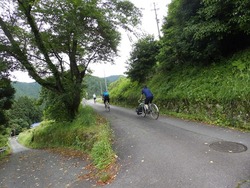 s-P6100191toei