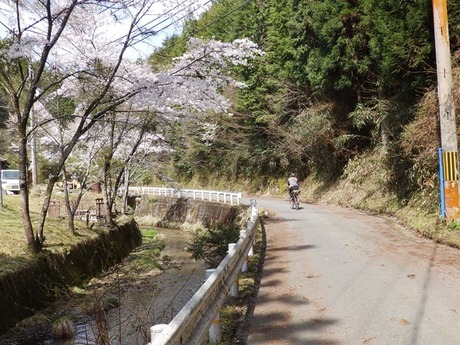s-P4130343higashiyo