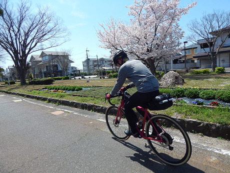 DSCN8763