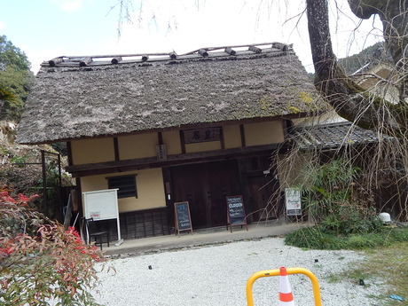 DSCN4590